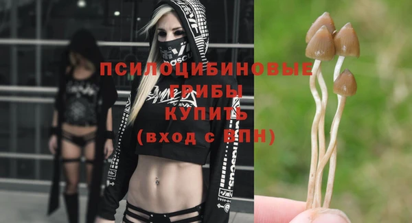 прущий лед Балабаново